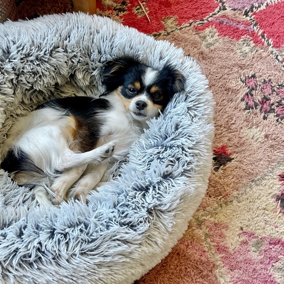 Meet your Posher, Pamela - Picture 2 of 2